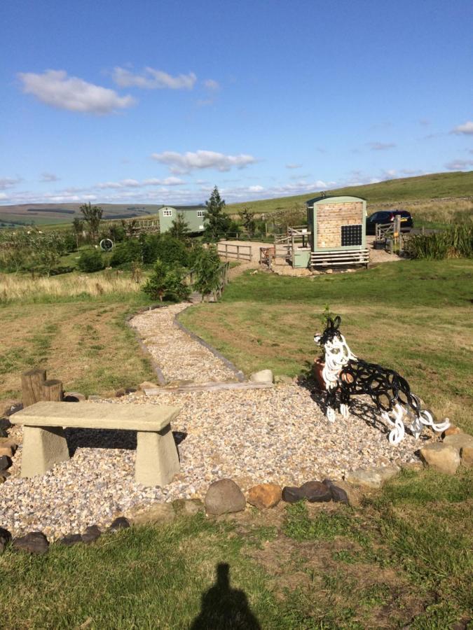 The Buteland Stop Rosie Off Grid Shepherds Hut Bellingham Exterior foto