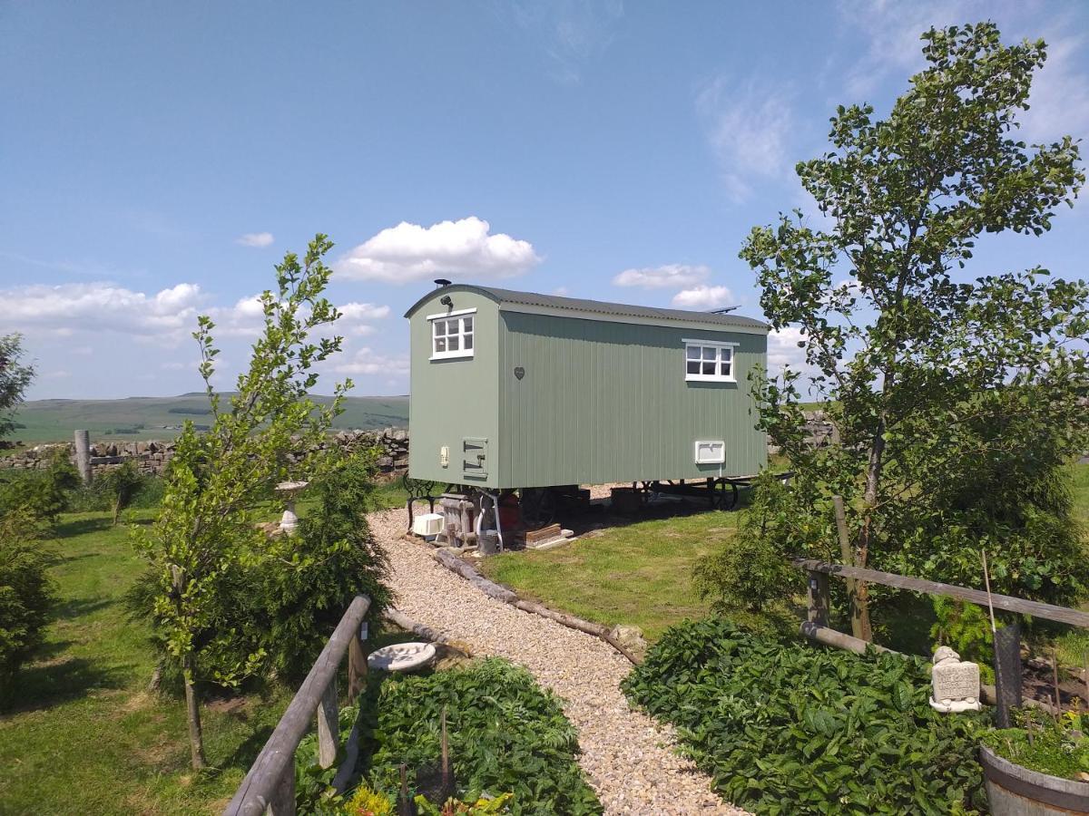 The Buteland Stop Rosie Off Grid Shepherds Hut Bellingham Exterior foto