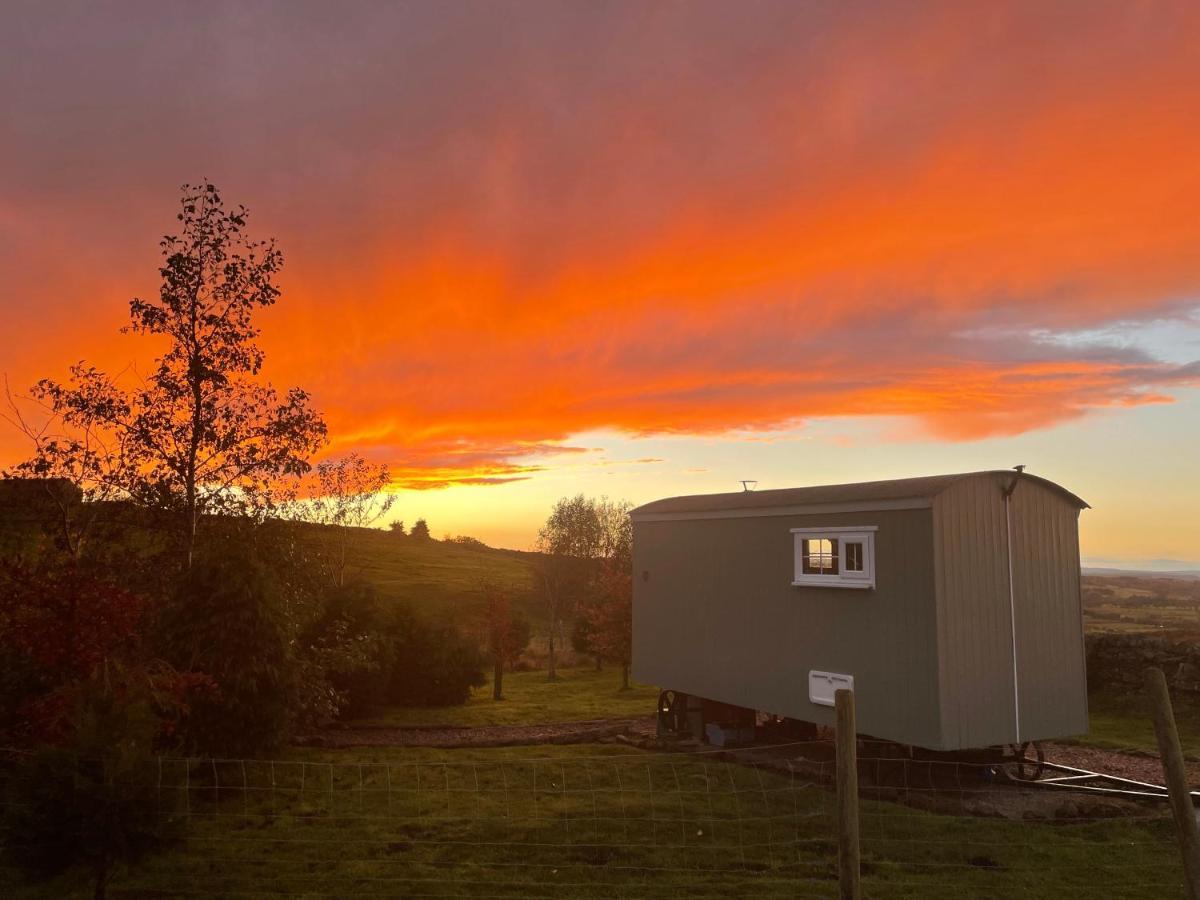 The Buteland Stop Rosie Off Grid Shepherds Hut Bellingham Exterior foto