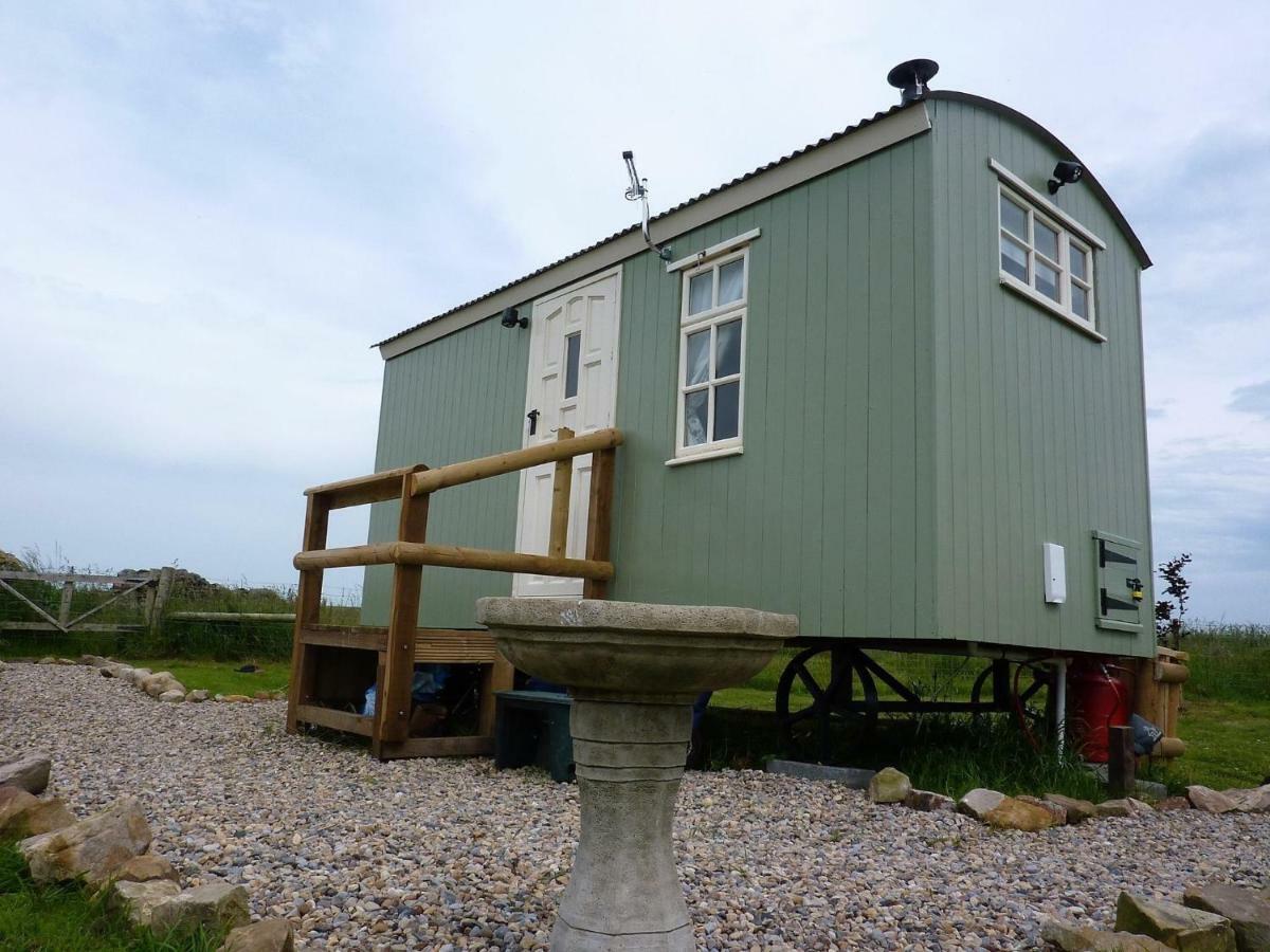 The Buteland Stop Rosie Off Grid Shepherds Hut Bellingham Exterior foto