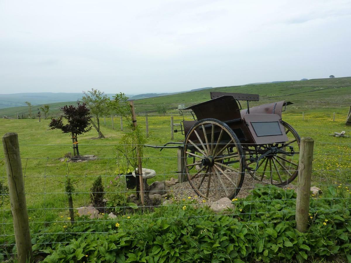 The Buteland Stop Rosie Off Grid Shepherds Hut Bellingham Exterior foto