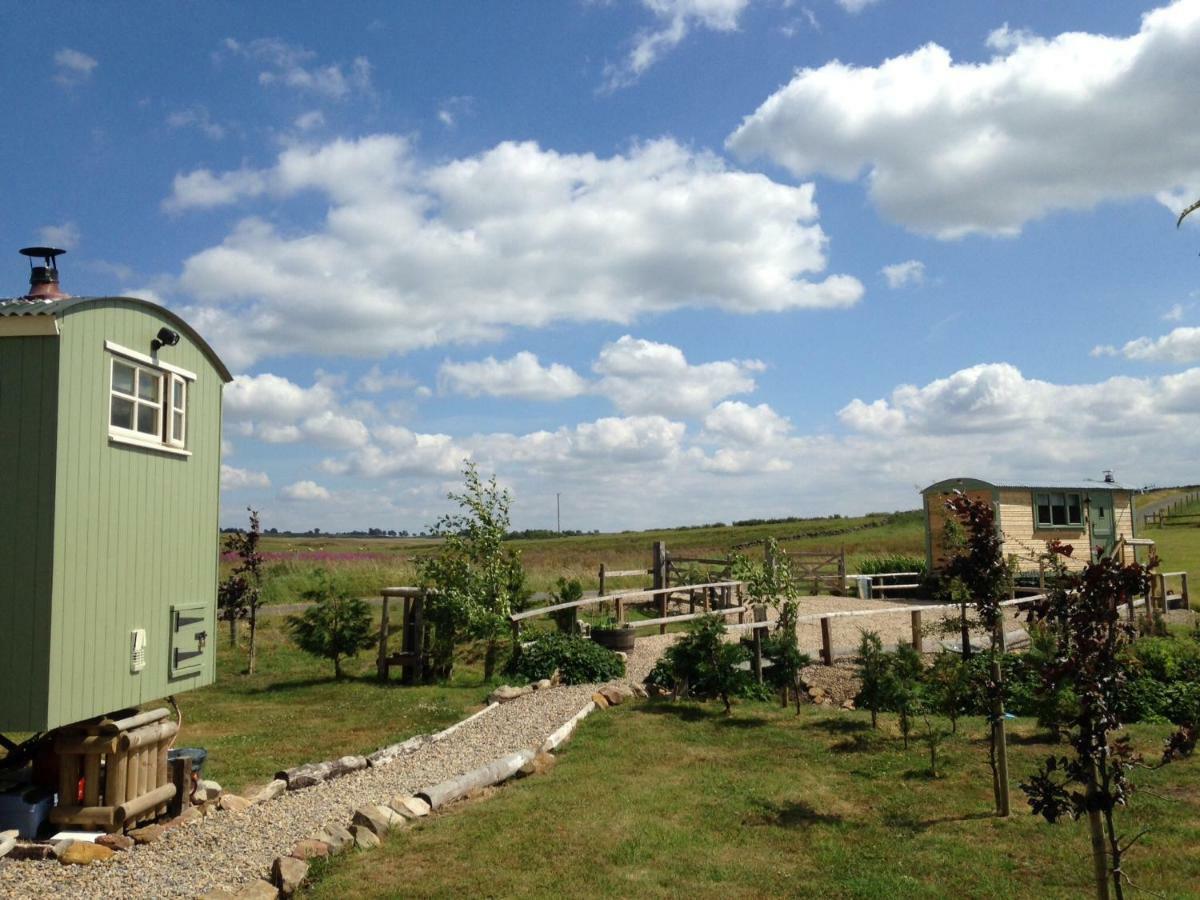 The Buteland Stop Rosie Off Grid Shepherds Hut Bellingham Exterior foto