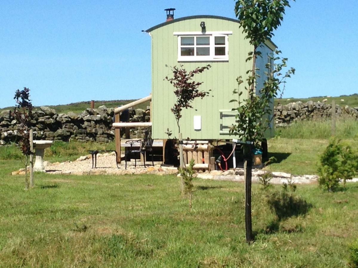 The Buteland Stop Rosie Off Grid Shepherds Hut Bellingham Exterior foto